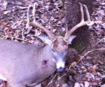 2013 buck.jpg