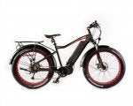 1000 watt e bike.jpg