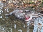 20131105_074745.jpg
